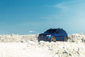 Audi SQ5 TFSI on ADV.1 Wheels (ADV06MV2CS) 2015 года 